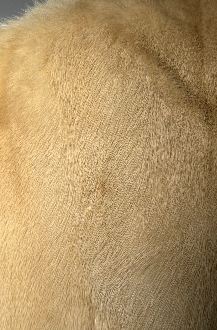 Alexander McQueen FW 2005 'The Man Who Knew Too Much' Mink Coat